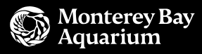 Monterey Bay Live Cameras